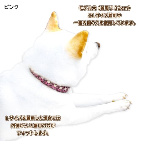 【送料無料】Gevaert×iDog 犬用首輪 MIX 在庫限りで終売