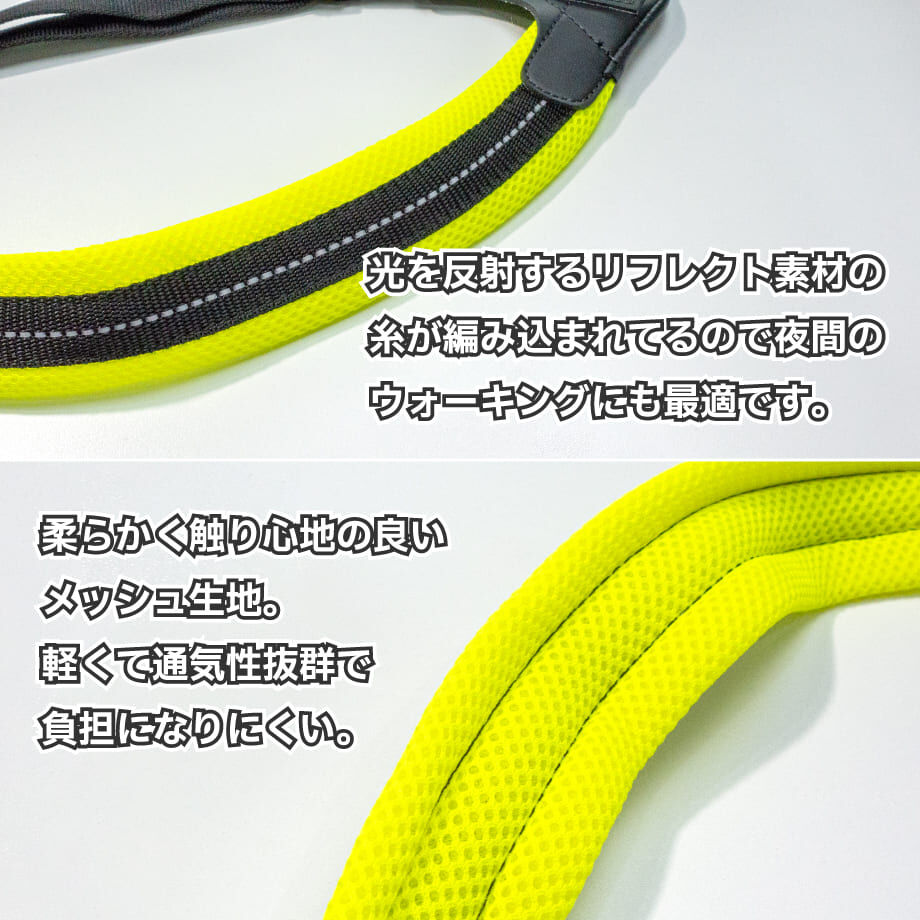 6311b5cf2e745225f7bd11a3
