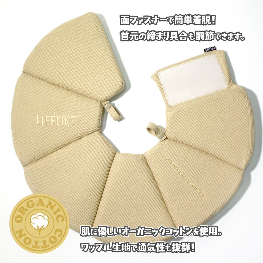 65bca0dbccd49a456676cfbf