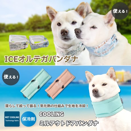 ロゴアイスパック 2個入り