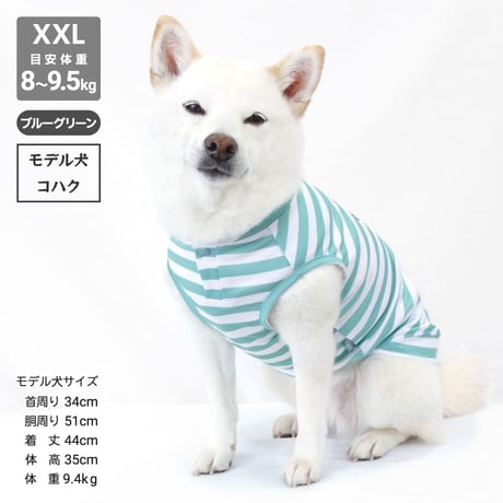 【送料無料】COOL ME ロゴプリントタンク XL 6～7.5kg 【在庫限り】