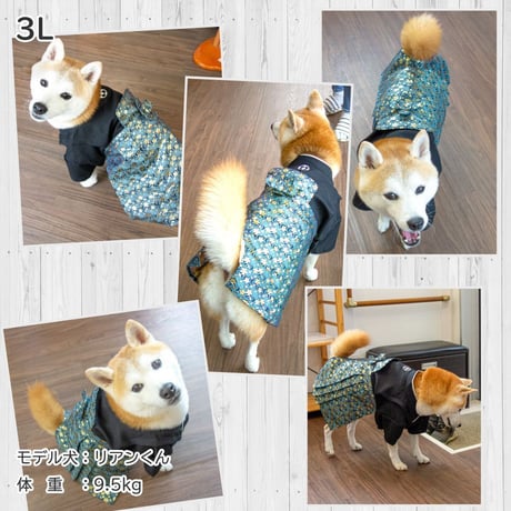 ONE歩オリジナル 高級袴 小桜 ～10.5kg