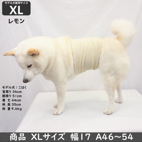 unage ウェルネス 体幹安定 温活 リラックス腹巻き 腹回り 27.5~54㎝