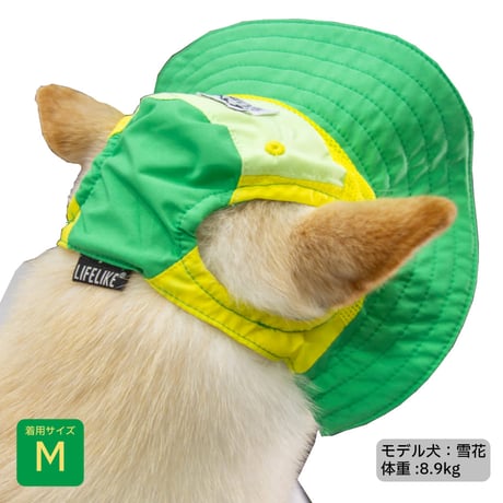 【送料無料】ビタミンカラーハット S M L XL 顔周り24〜56cm