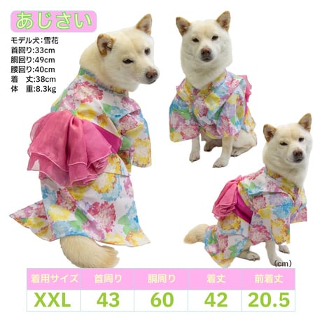 【送料無料】華やか大輪帯浴衣 6～10kg