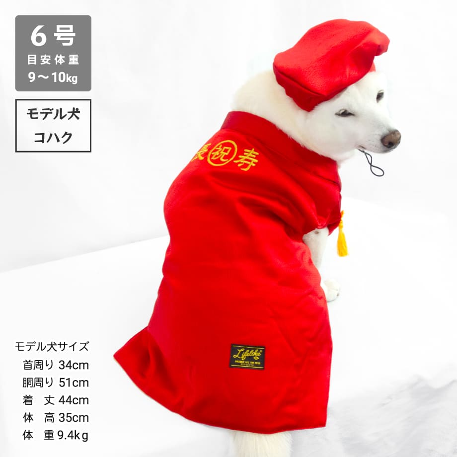 還暦お祝いセット 7.5～10kg | 柴犬の服屋さんONE歩