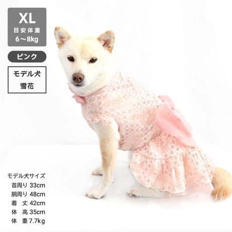 ウェディング風レースワンピ  8～10kg XL XXL【在庫限りで終売】