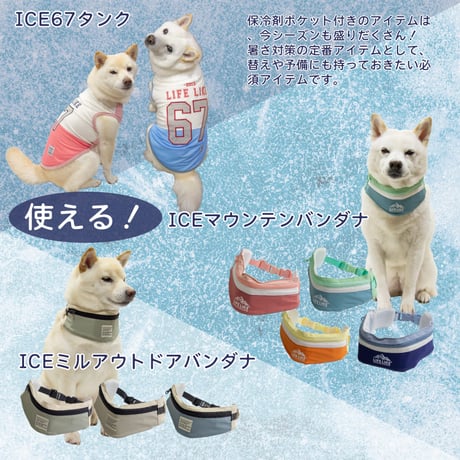 ロゴアイスパック 2個入り