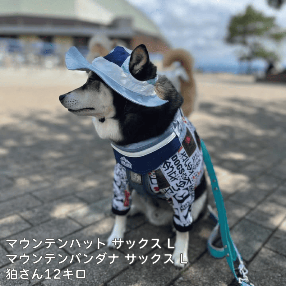 69ca0ea680c8d8561e615eaf
