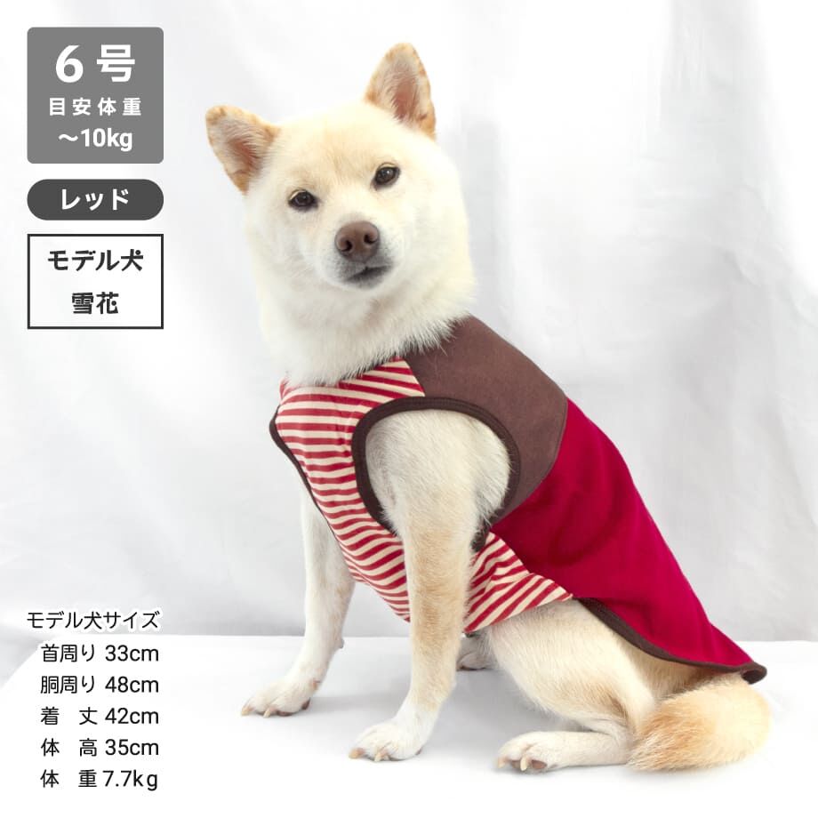 652634a6646cf100331a5bec