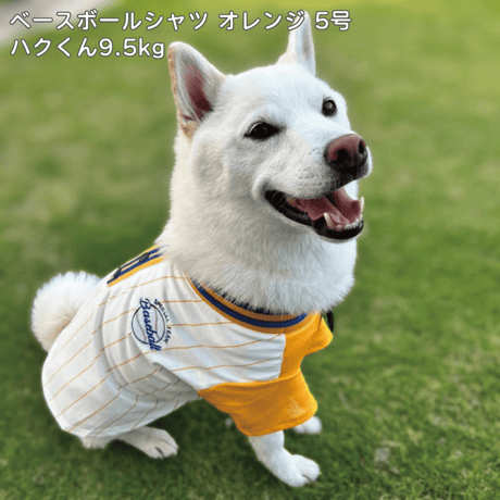 ベースボールシャツ
