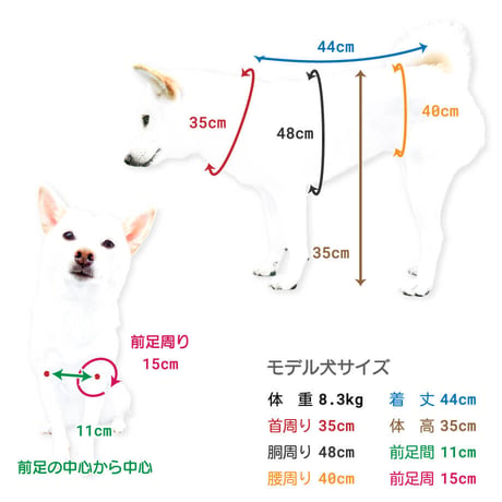 送料無料 トリコロールレインコート
