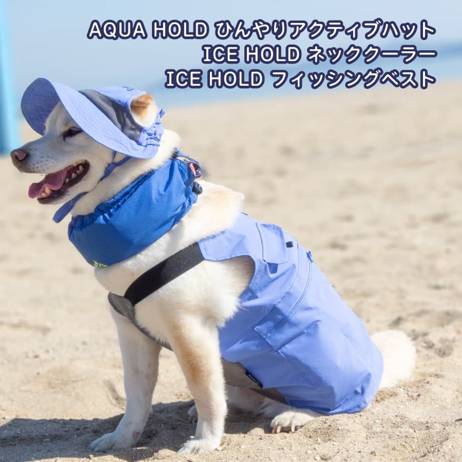 67ff1e0920d2995ebdcba077