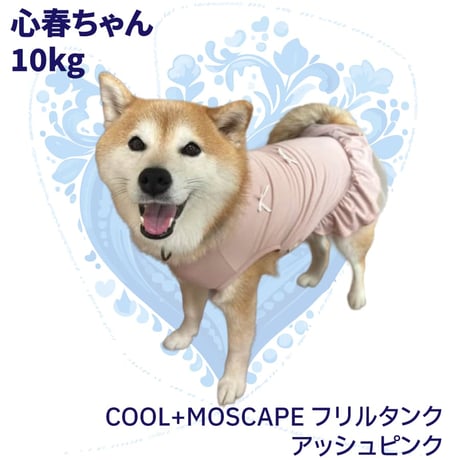 COOL+MOSCAPE フリルタンク 6～10kg XL XXL 在庫限りで終売