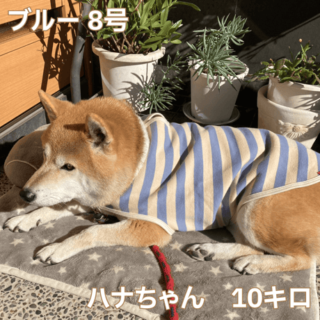 送料無料 ボーダーコート 4～15kg