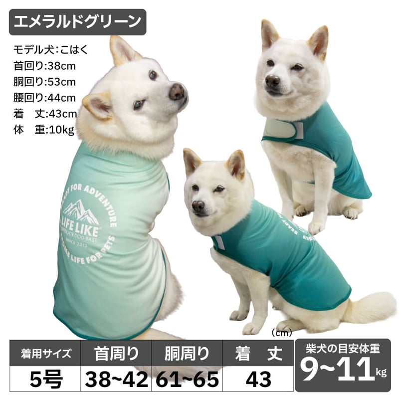 COOLINGカラーチェンジポンチョ 4号 5号 6号 7～13kg | 柴犬の服屋さん