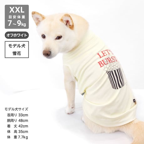 【送料無料】COOL ME ポップコーンタンク XL XXL 6～9kg