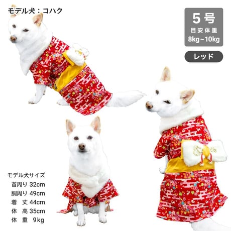 【送料無料】うさぎ晴れ着 8～10kg