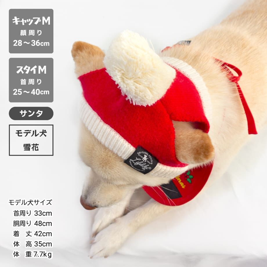 653ef5e860a81b09ee3ab2b5