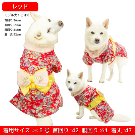 【送料無料】【在庫限りで終売】新春晴れ着 6号 （10〜12kg）
