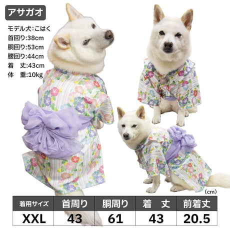 防虫防蚊機能付 華やか大輪帯浴衣 7～10kg