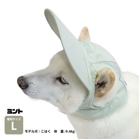 ツイルロゴキャップ M L XL 顔周り30〜56cm