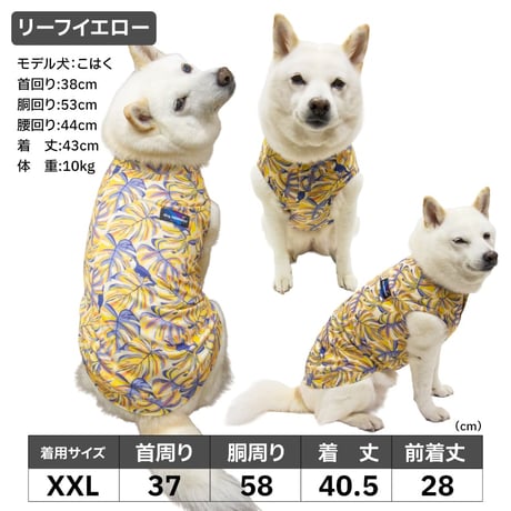 COOLME+MOSCAPE プリントタンク 7〜10kg