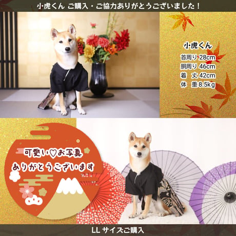 ONE歩オリジナル 高級袴 登り龍【3L完売しました】