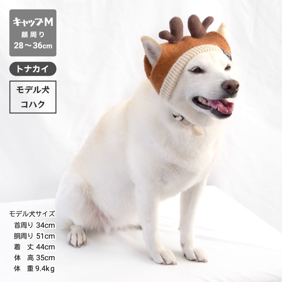 653ef5e860a81b09ee3ab2b5