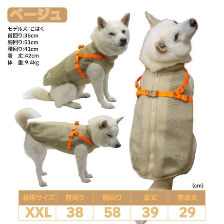 【送料無料】AQUA HOLD ひんやり空冷&保水 Wクールハーネス ～10kg