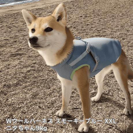 AQUA HOLD ひんやり空冷&保水 Wクールハーネス 7～10kg