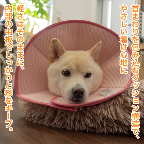 ライトエリザベスカラー M L 首周り27～36cm