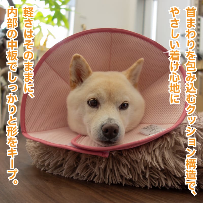 エリザベス様 リクエスト品 コイン ホース 馬 コイン ペンダント トップ ダイヤモンド エリザベス