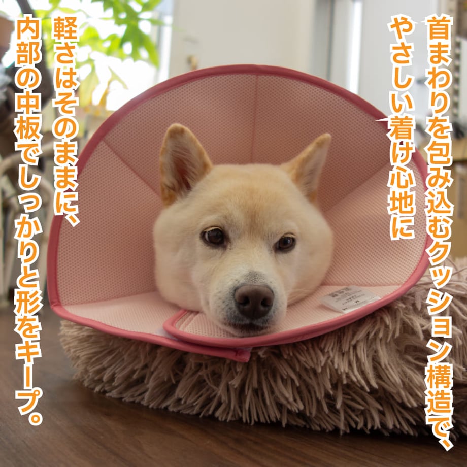 68f1ec0dbd758c38c21570b0
