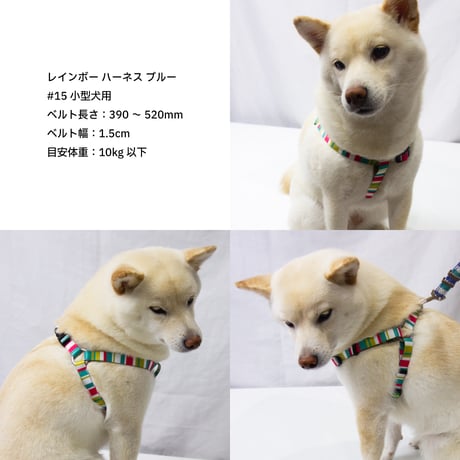 レインボーハーネス 小型犬・中型犬用 ～20kg