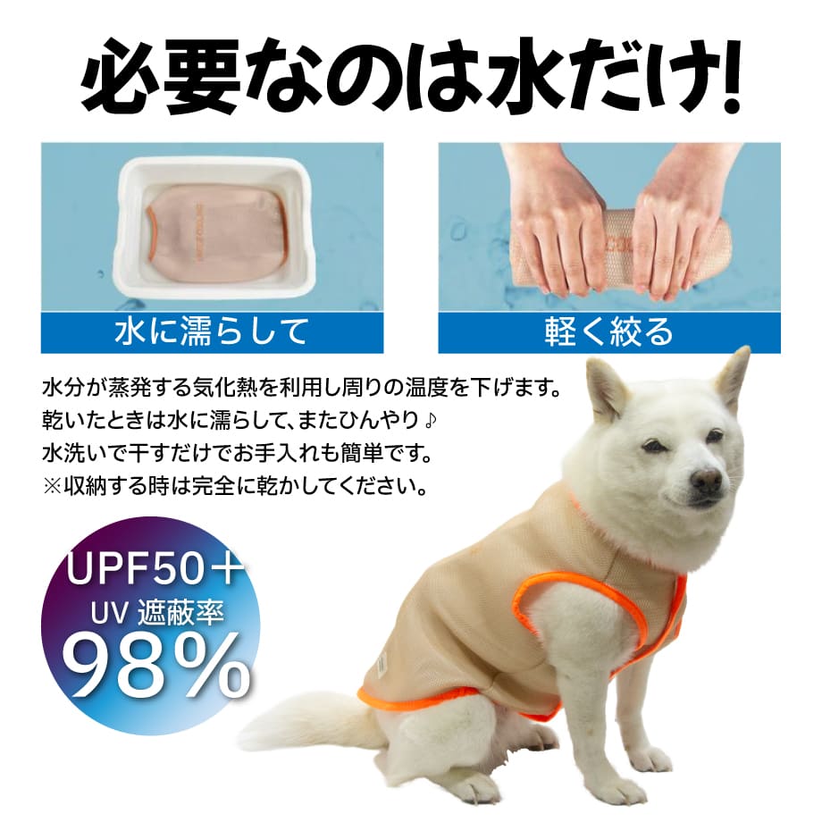 67bfc55023b5d00331cb85ee