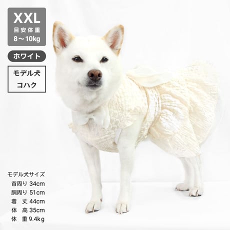 ウェディング風レースワンピ  8～10kg XL XXL【在庫限りで終売】