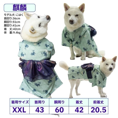 【送料無料】華やか大輪帯浴衣 6～10kg