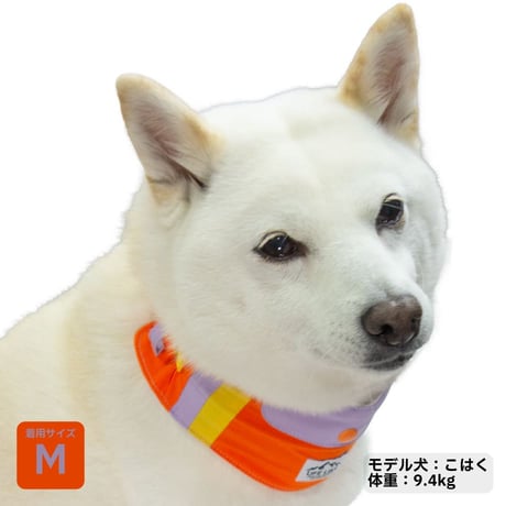 ビタミンカラーバンダナ S M L 保冷剤付き 首周り26〜46cm