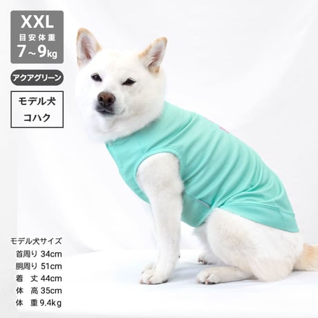 【送料無料】COOL ME ポップコーンタンク XL XXL 6～9kg