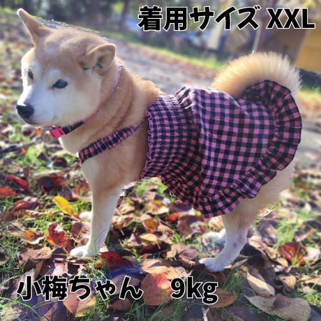 【送料無料】ギャザーフリルワンピ ～9kg 秋冬用