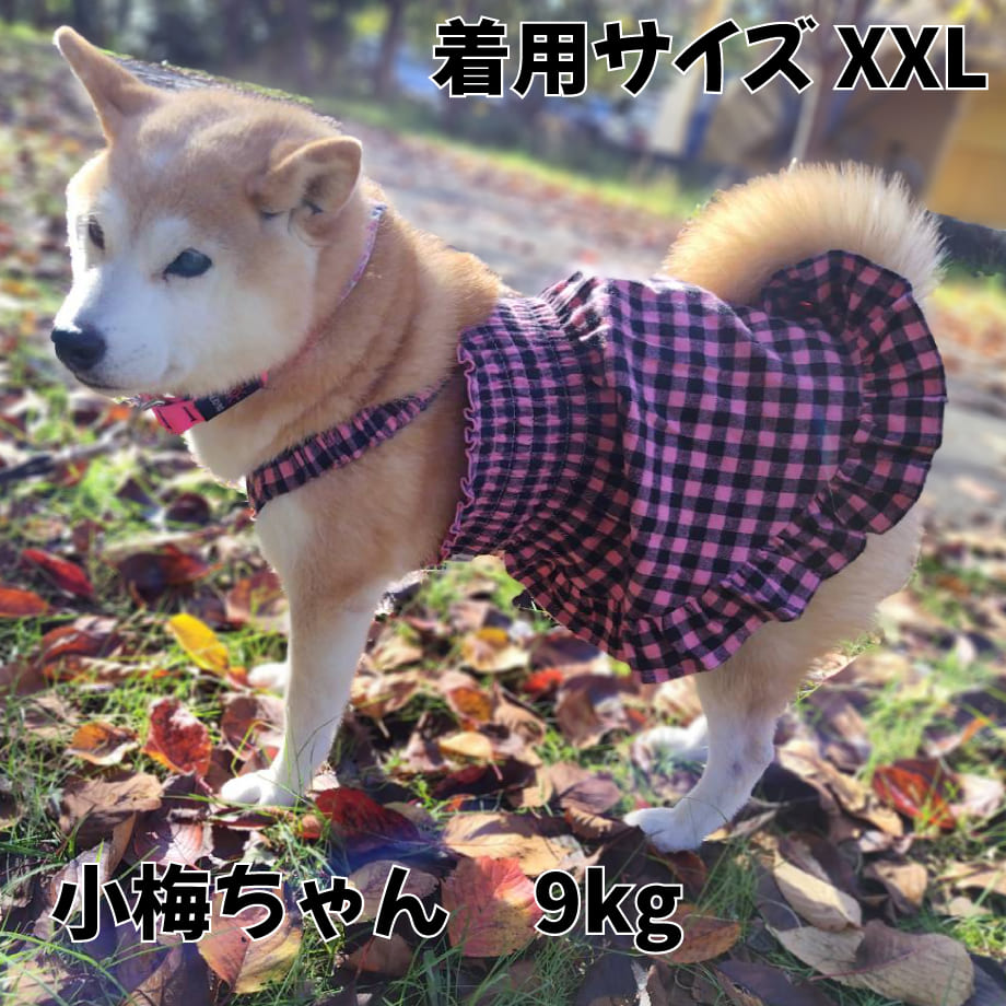 66c6f33a7b0f720915215c36