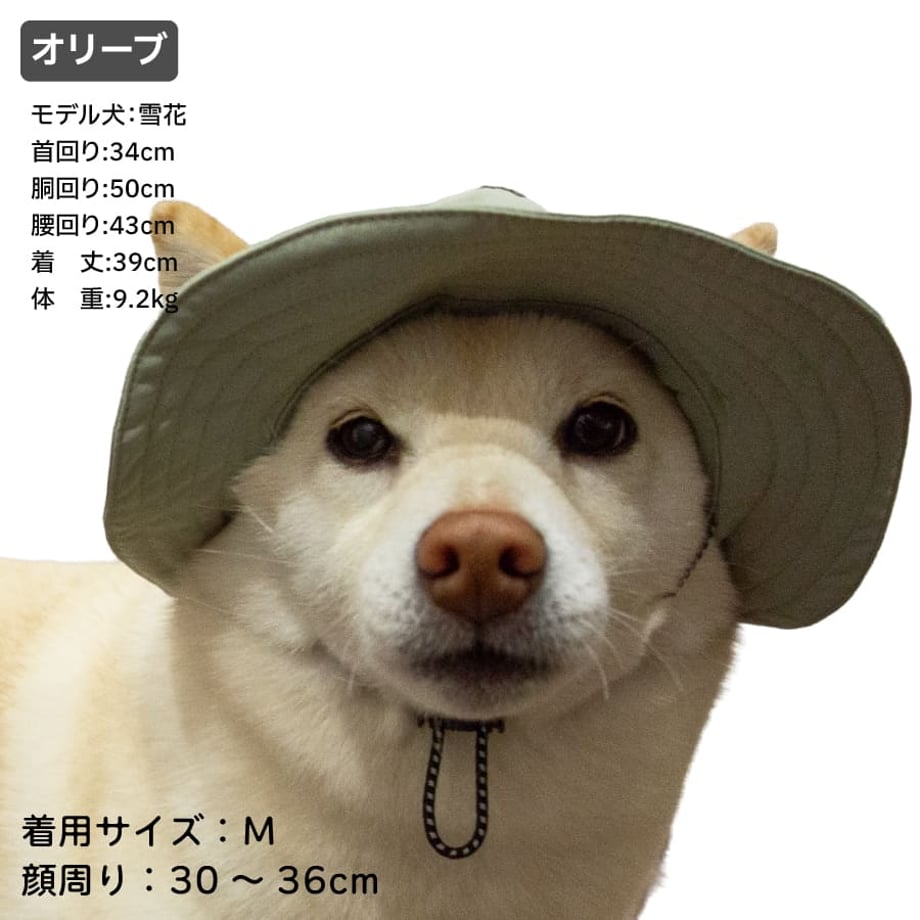 69c3891073db3d1a302eec1b