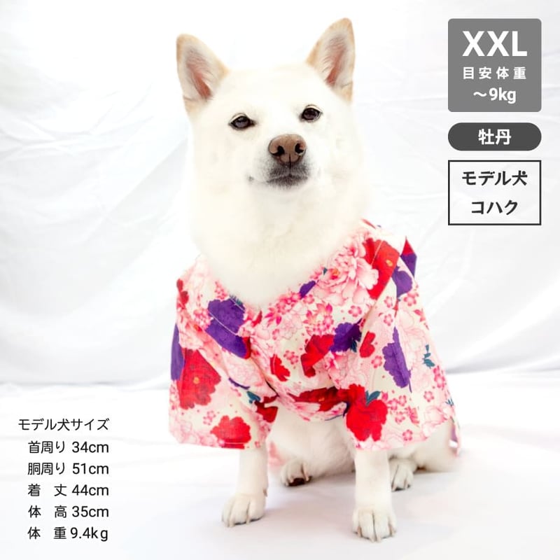 岡重牡丹に子犬浴衣