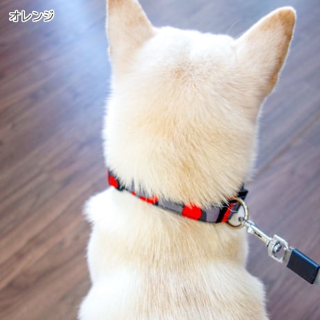 迷彩カラー 小型犬・中型犬用 ～20kg