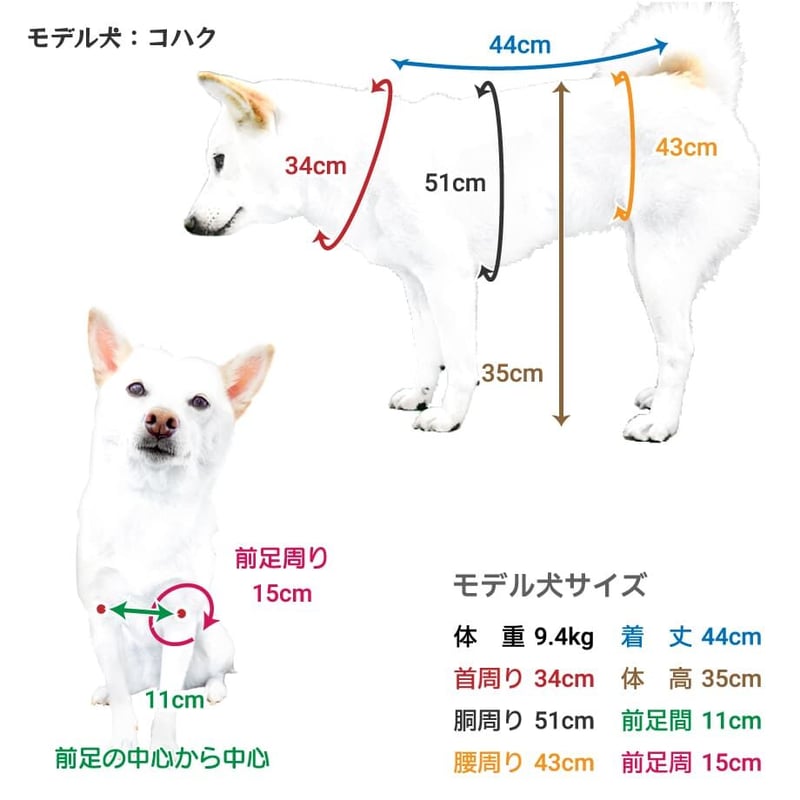 コットンTシャツ 5号・6号・7号 6.5kg～12kg | 柴犬の服屋さんONE歩