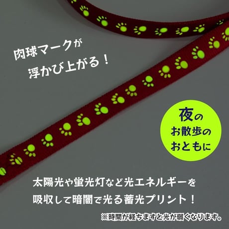 蓄光フットリード 小型犬・中型犬用 ～20kg