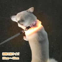 セーフティーカラー55