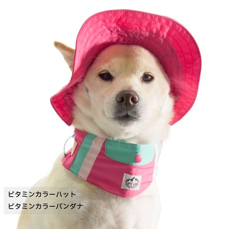 ビタミンカラーバンダナ S M L 保冷剤付き 首周り26〜46cm