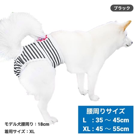 ボーダーマナーパンツ